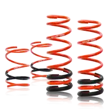 Swift Sport Springs: Evo X 2008+