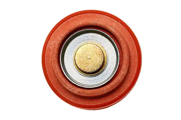 Radium Engineering Diaphragm Service Replacement FPR