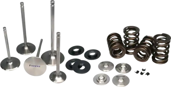 Ferrea Nissan GT-R VR38DETT Dual Spring Kit