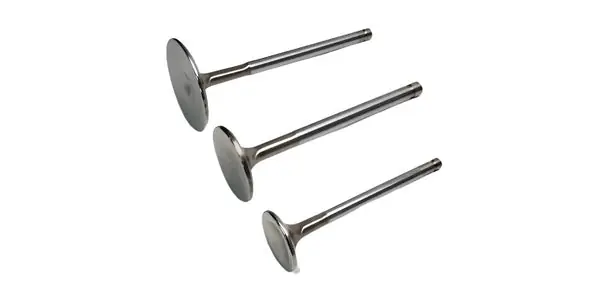 Ferrea Mistubishi 4B11T Std Intake Valve Guide - Set of 8 (Use w/VS1025)