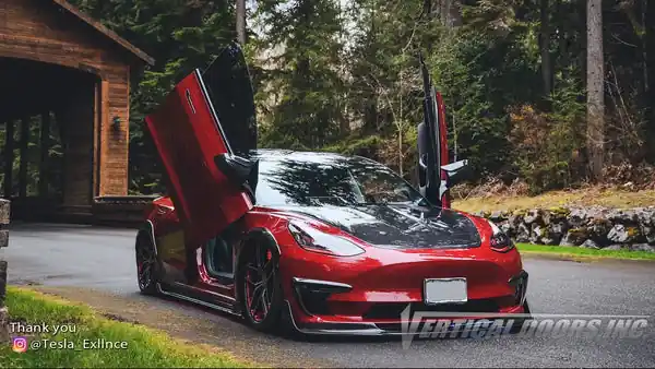 Vertical Doors Tesla Model 3 2017-2023