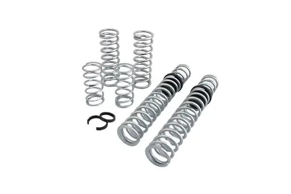 Eibach Pro-UTV 17-19 Polaris RZR XP1000 2-Seat EPS Stage 2 Performance Springs