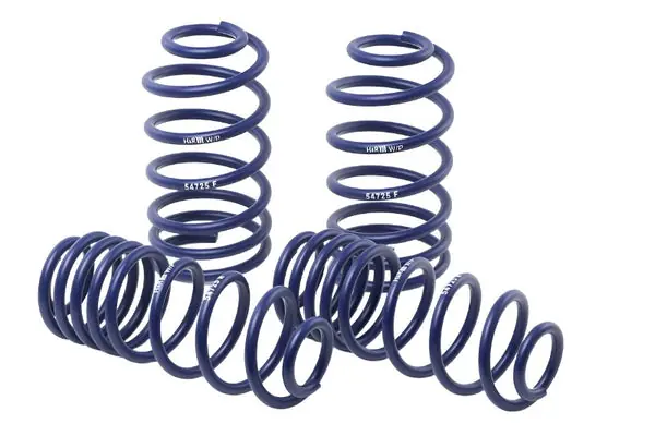H&R 06-10 Dodge Charger RT/SE/SXT V6/V8 (2WD) Sport Spring (w/Nivomat Only)