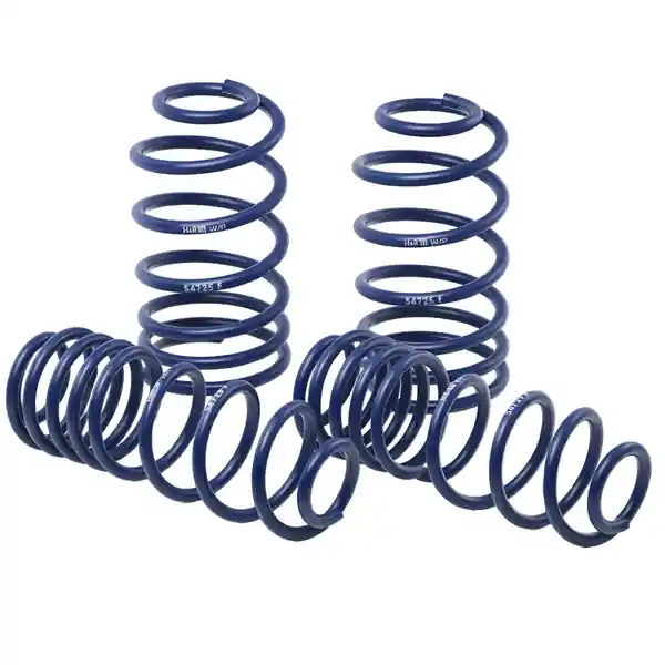 H&R 11-14 Dodge Charger RT (AWD) Max/Plus V8 Sport Spring
