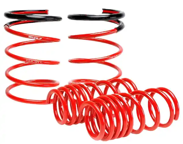 Skunk2 02-04 Acura RSX Lowering Springs (2.25in - 2.00in.) (Set of 4)