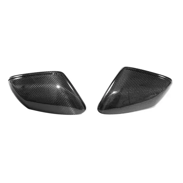 Porsche Taycan Carbon Fiber Side Mirror Housing