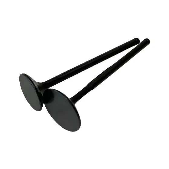 Brian Crower Honda/Acura B18C/B16A/B17A 28mm Black Nitride w/Flat Face Exhaust Valves